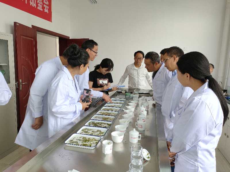 市農科院組織召開茶葉加工科研產品評審會